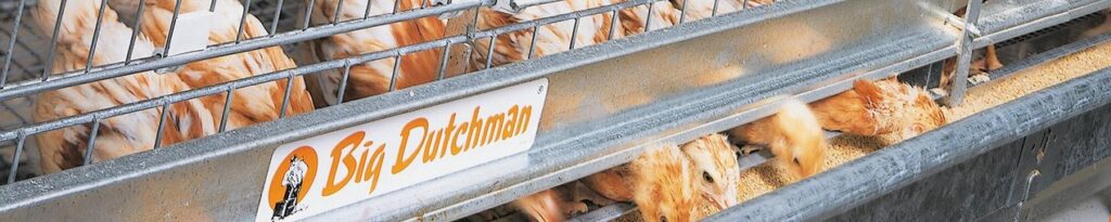 csm_Legehennenhaltung-egg-production-UNIVENT-Starter-Big-Dutchman_d3673d71fb
