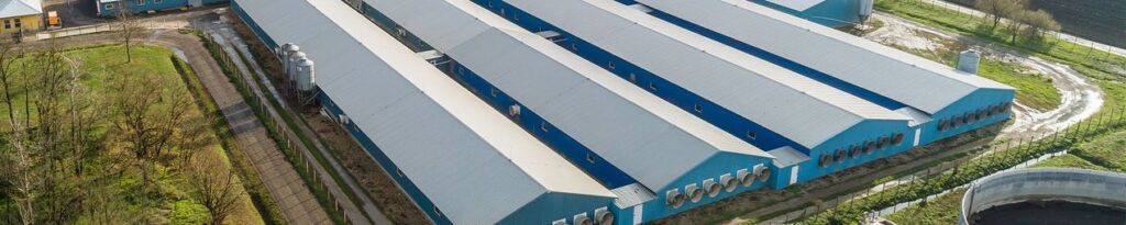 csm_Stallklima-Pig-climate-control-CombiTunnel-Ventilation-Big-Dutchman_8b2e1493bf