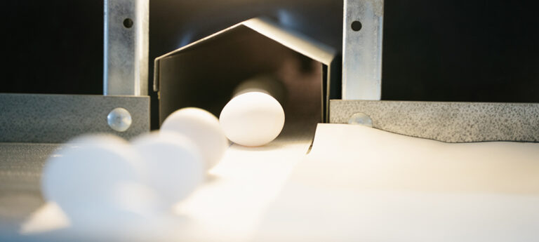 Egg-tables-1170x526