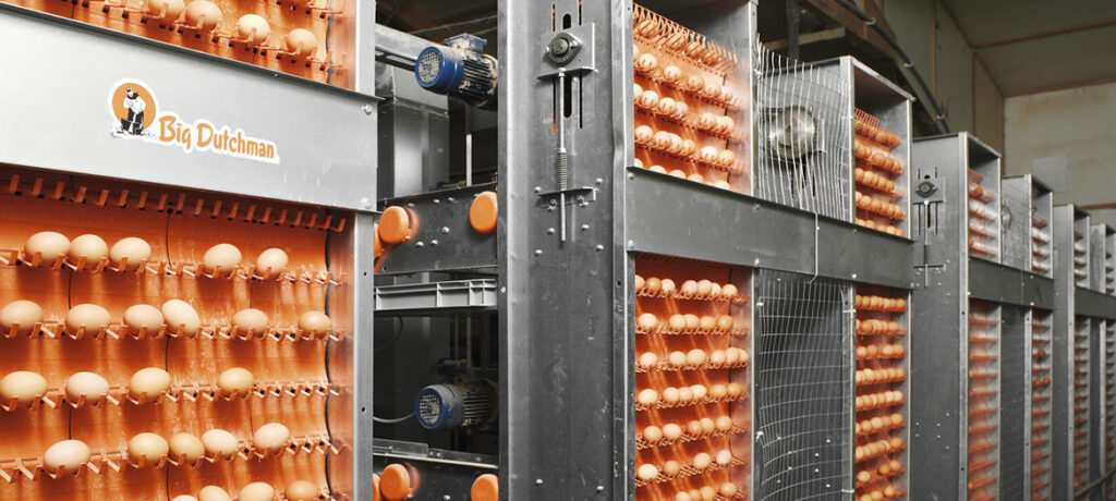 EggCellent-1170×526