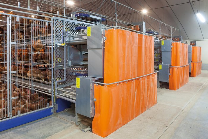 csm_Legehennenhaltung-Egg-production-AMBA-Big-Dutchman_88e304a4ef
