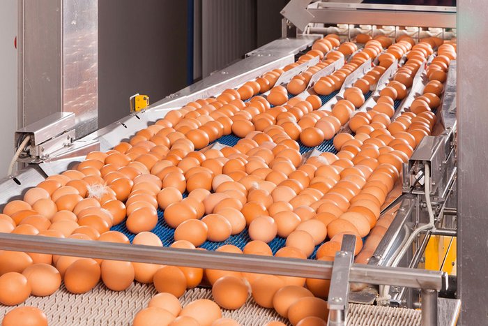 csm_Legehennenhaltung-Egg-production-Digital-EggFlow-Big-Dutchman_9d9f0ecf91