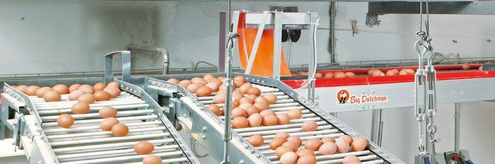 csm_Legehennenhaltung-Egg-production-Stabfoerderer-Big-Dutchman_668773a2ba