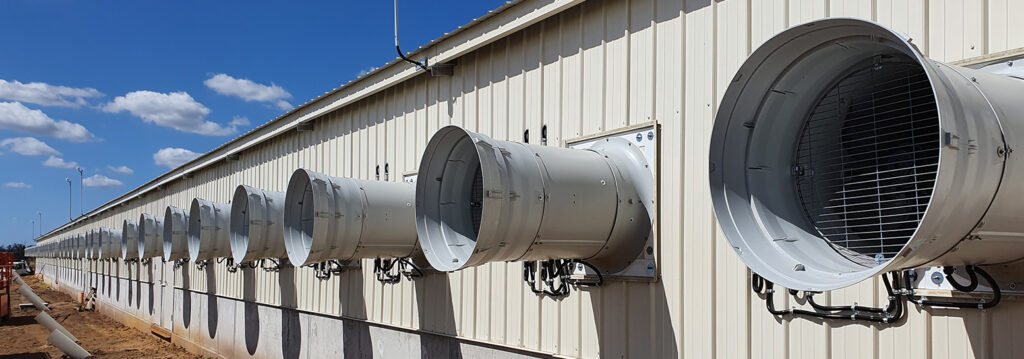 CL600-CL920-1553×545 (1)