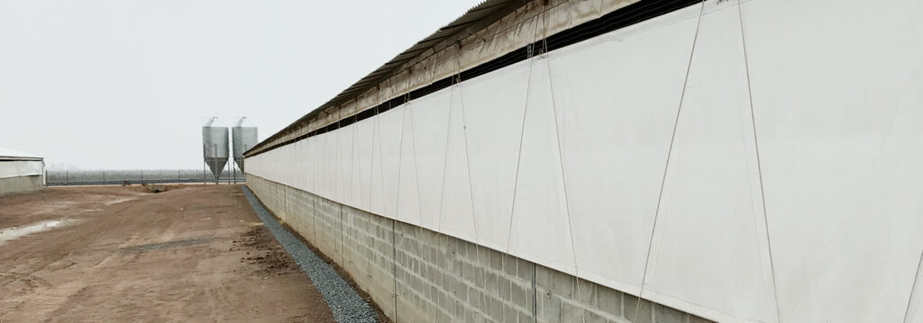 Curtain-1553×545