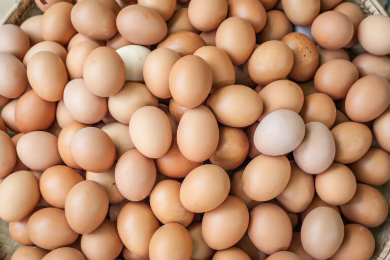 Eggs-1.jpg
