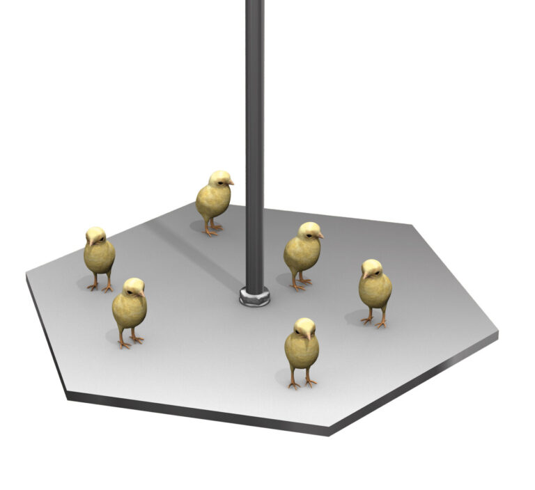 SWING 20-3D-01