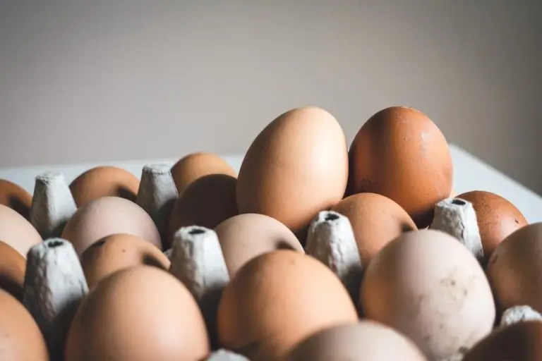 Automated egg collection and handling system
