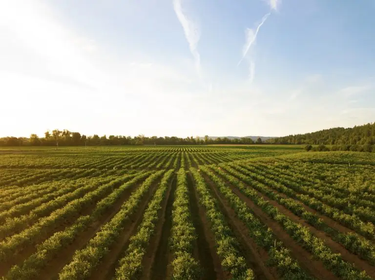 Modular Farm Growth Programme