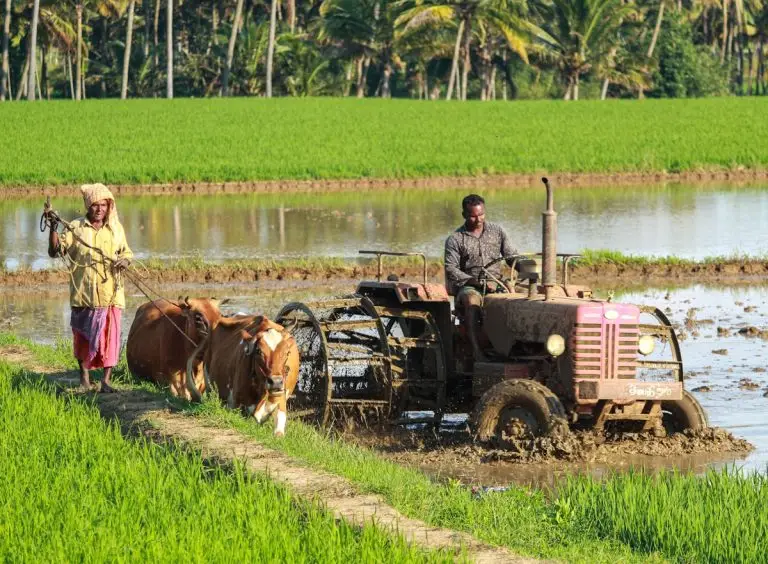Big Dutchman East Africa Local Farmer Partnerships
