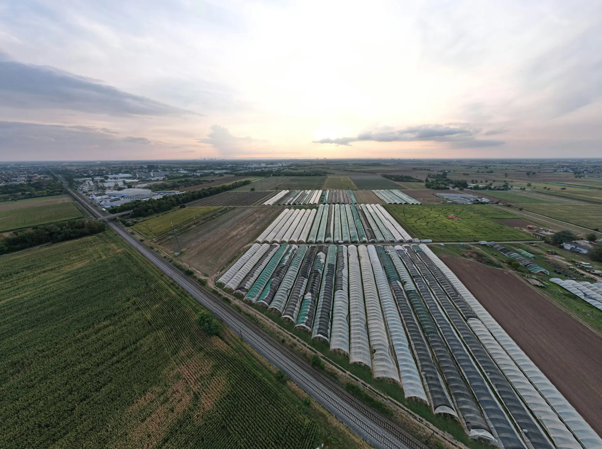Big Dutchman East Africa farm production solutions