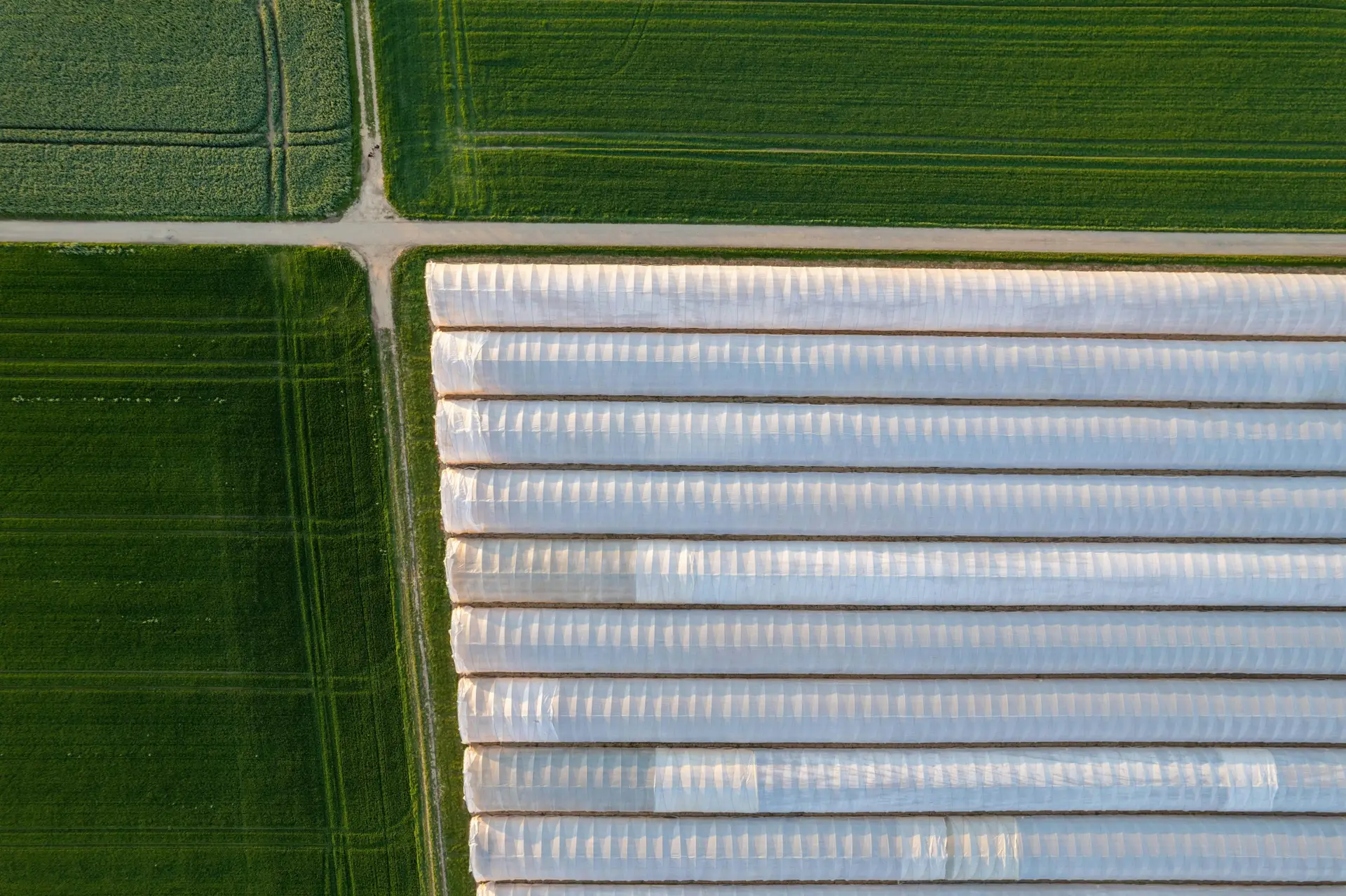 Farm production systems in East Africa