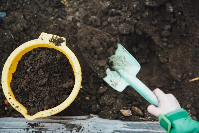 Rich composted soil from agricultural waste processing