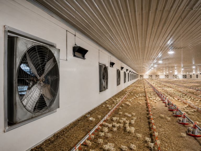 farmers-choice-3